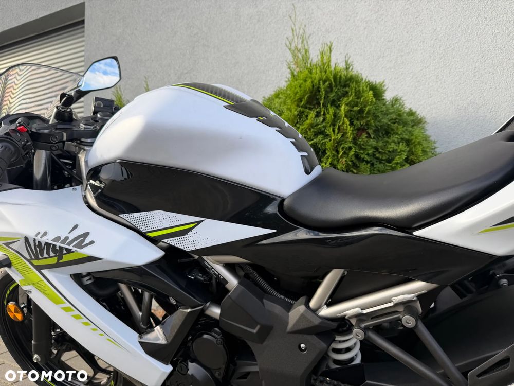 Kawasaki Ninja - 33