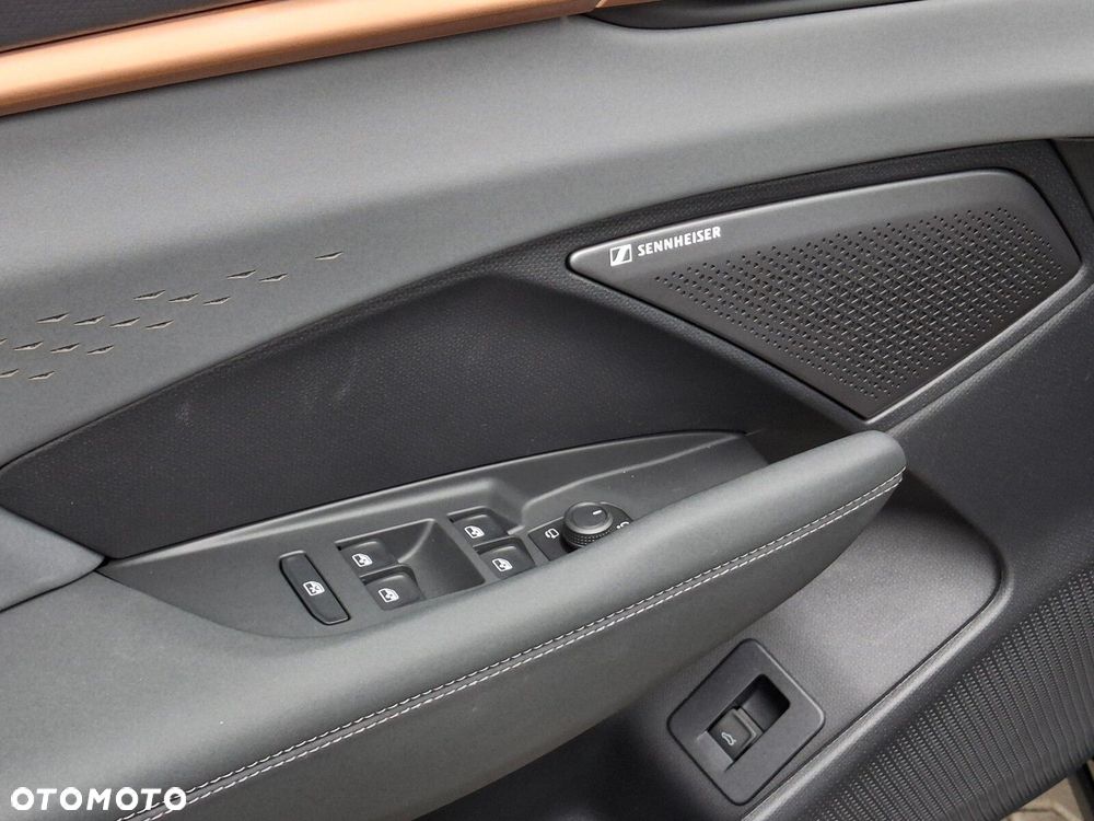 Cupra Terramar 2.0 TSI 4Drive DSG - 15