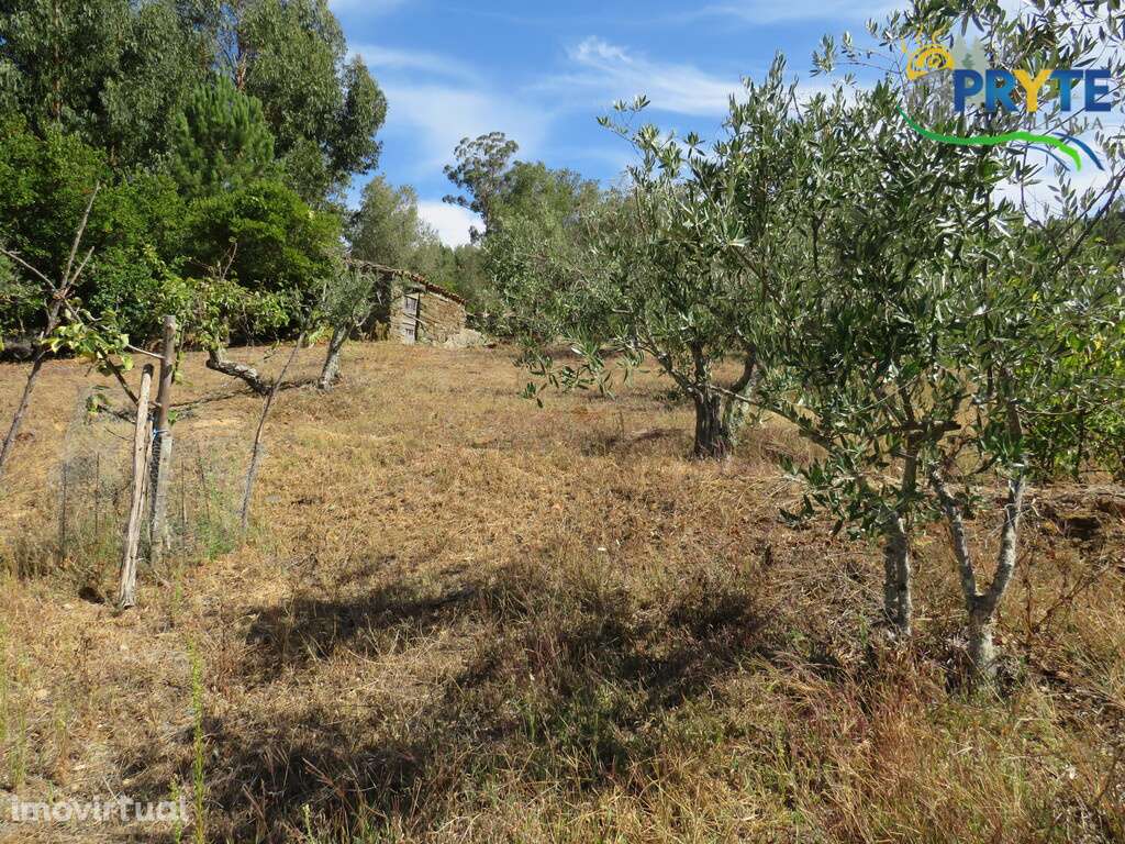 Terreno para construção situado em Álvaro - Grande imagem: 3/15