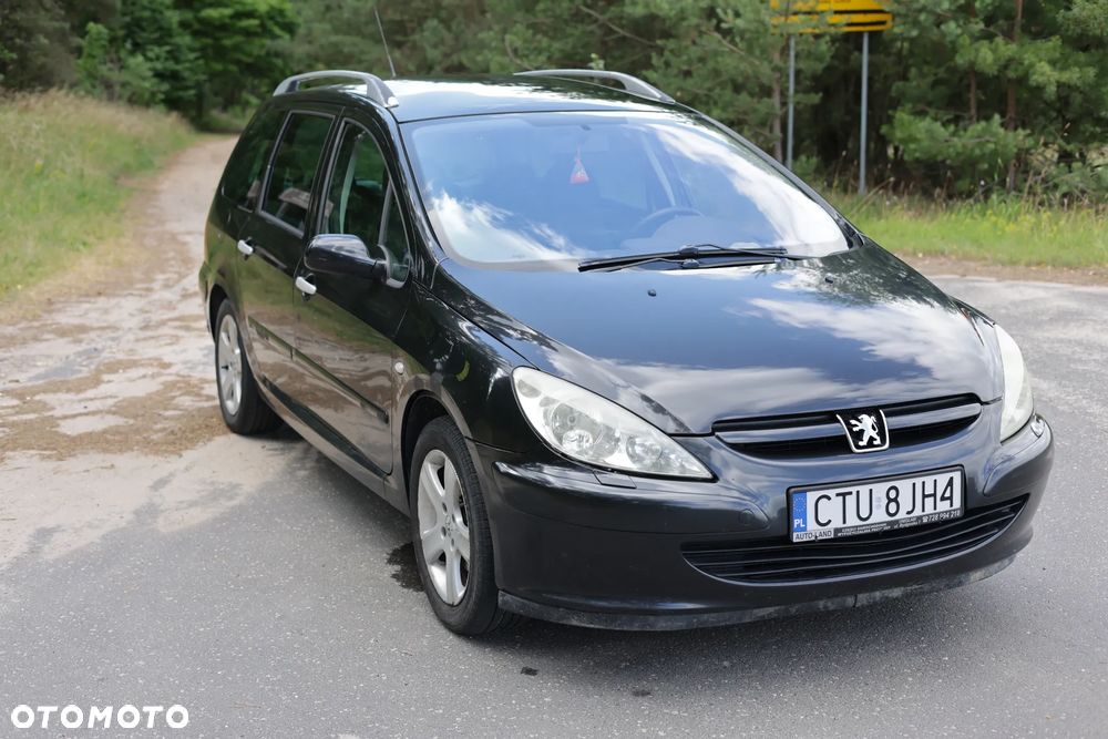Peugeot 307 2.0 Mistral - 3