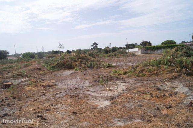 Terreno Rústico em Brescos - Vila Nova Sto. André - Grande imagem: 2/15