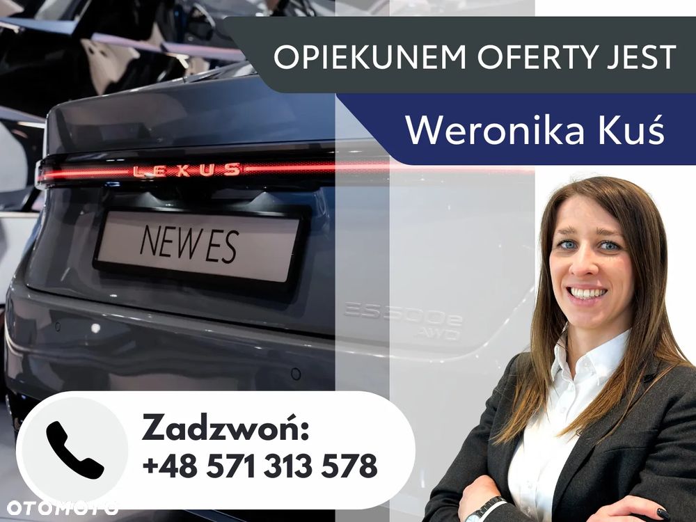 Lexus RX 500h F Sport - 19