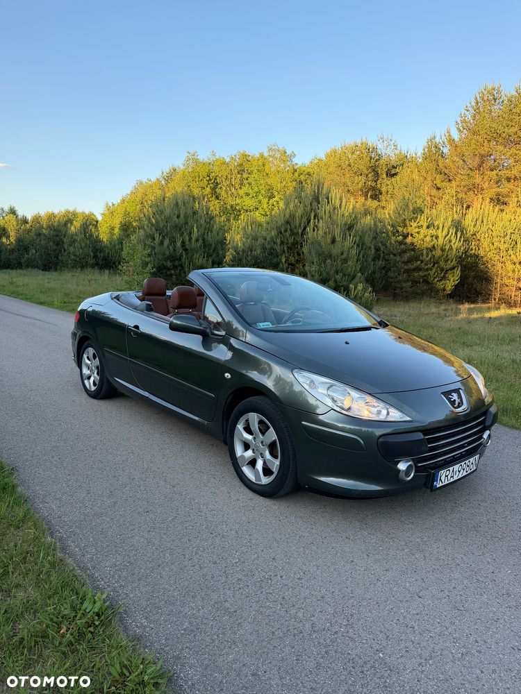 Peugeot 307 CC 2.0 Intense - 9