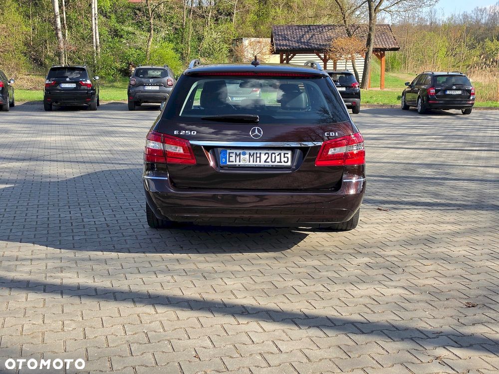 Mercedes-Benz Klasa E 250 CDI DPF BlueEFFICIENCY Avantgarde - 8