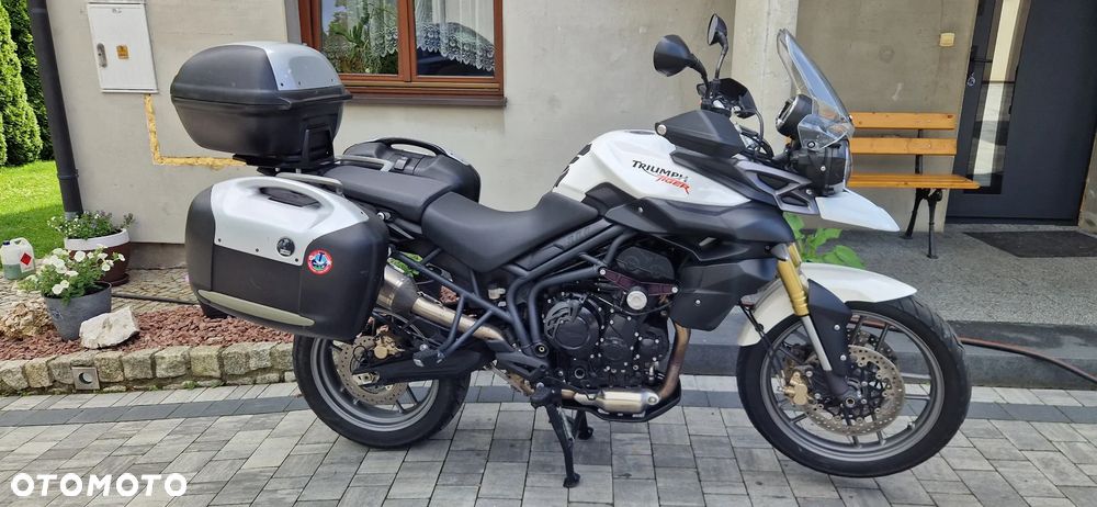 Triumph Tiger - 15
