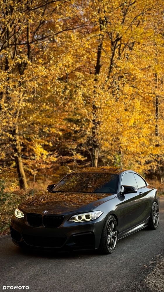 BMW Seria 2 M235i Sport-Aut - 18