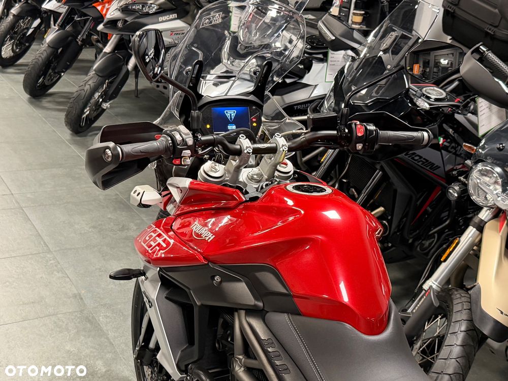 Triumph Tiger - 37