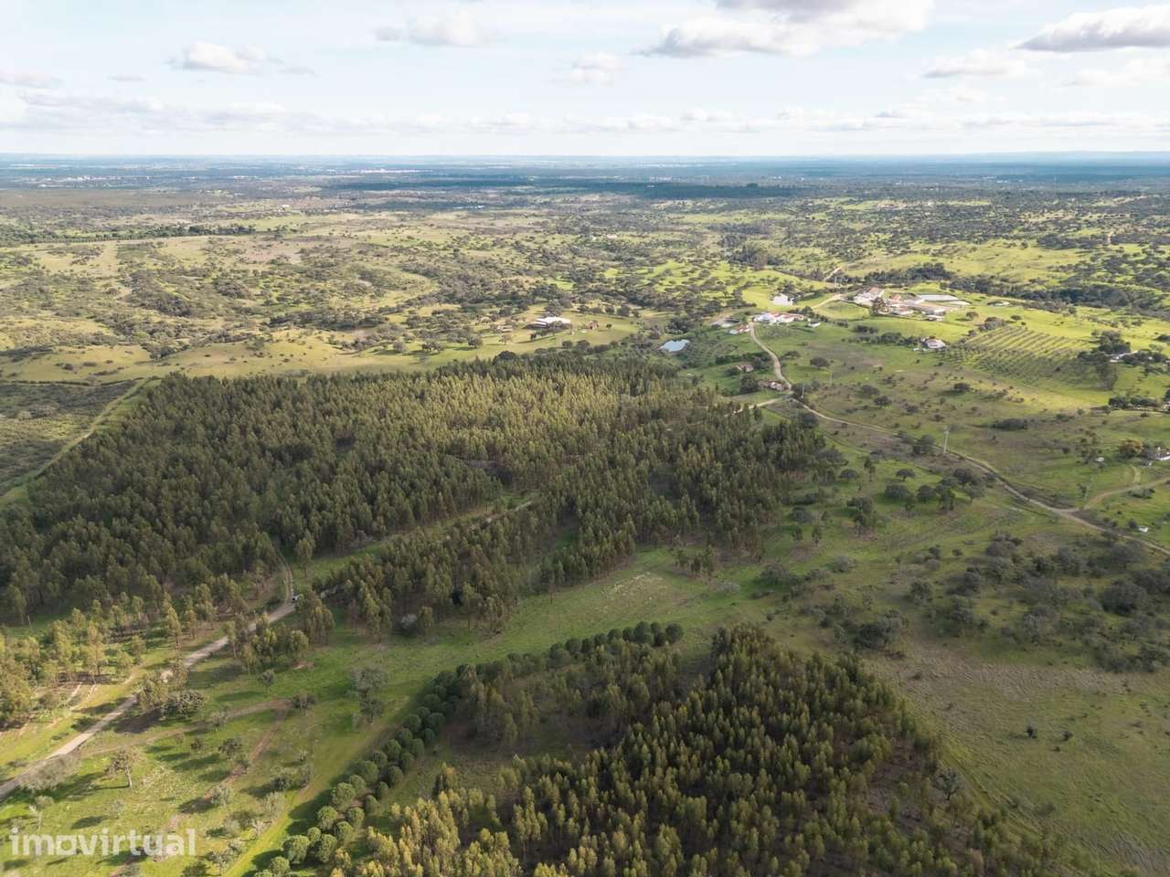 Terreno Rústico 16.0 ha, Azinheira dos Barros, Grandola - Grande imagem: 5/9