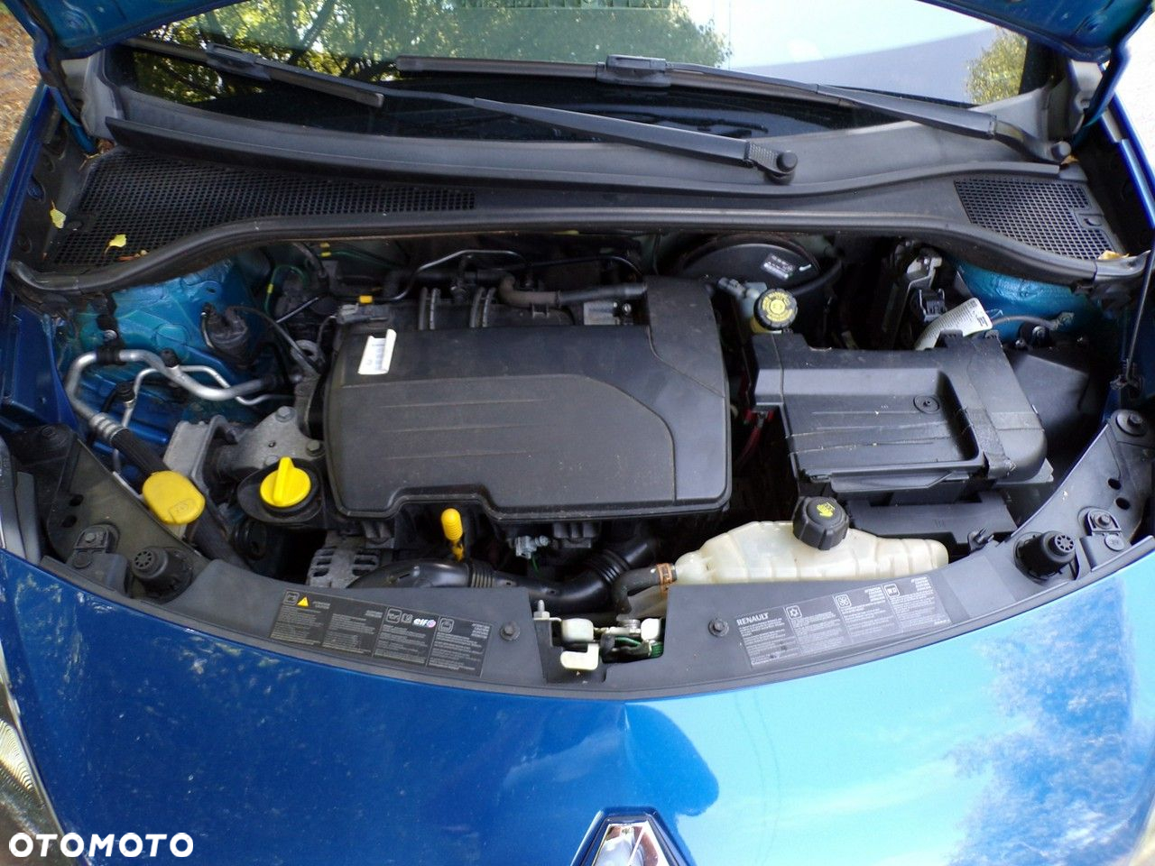Renault Clio - 18