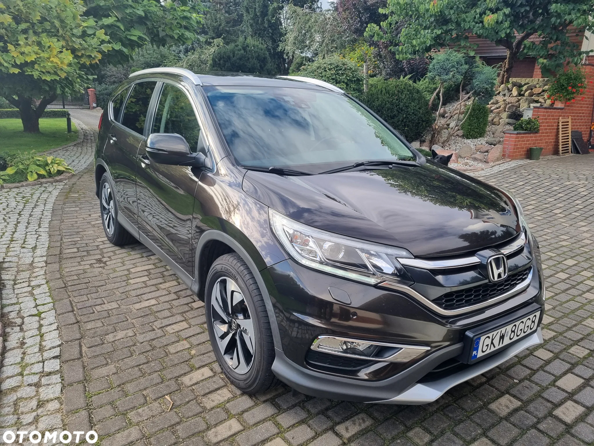 Honda CR-V 2.0 Executive (Sensing Pack / Connect+) - 2