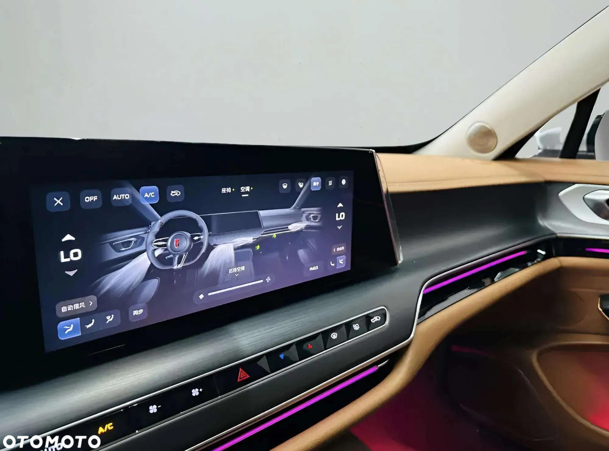 Hongqi H9 Standard - 19