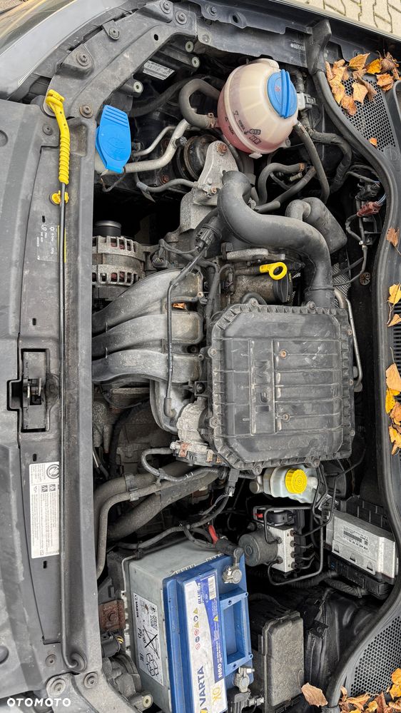 Volkswagen Polo - 16