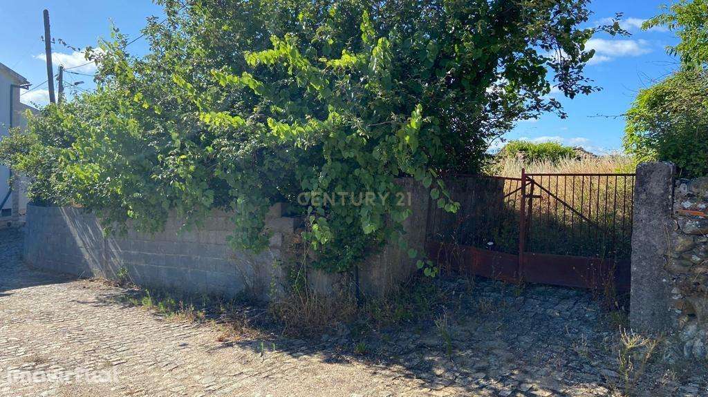 Casa para recuperar em Amieira , Oleiros - Grande imagem: 2/13