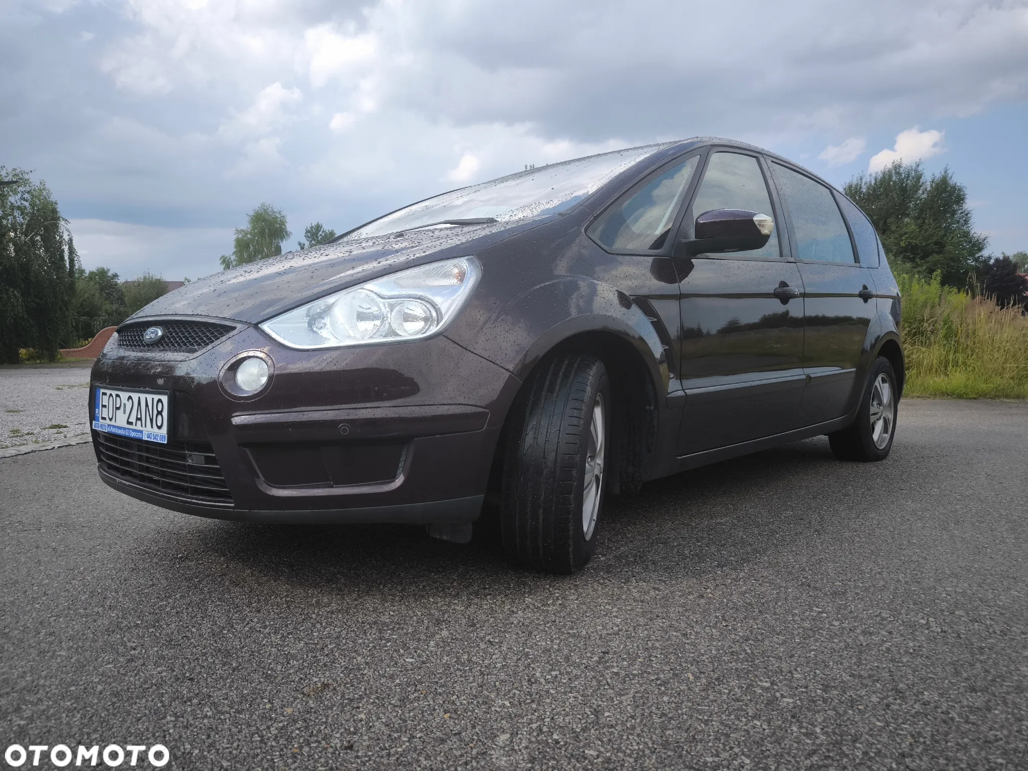 Ford S-Max 1.8 TDCi Silver X - 8