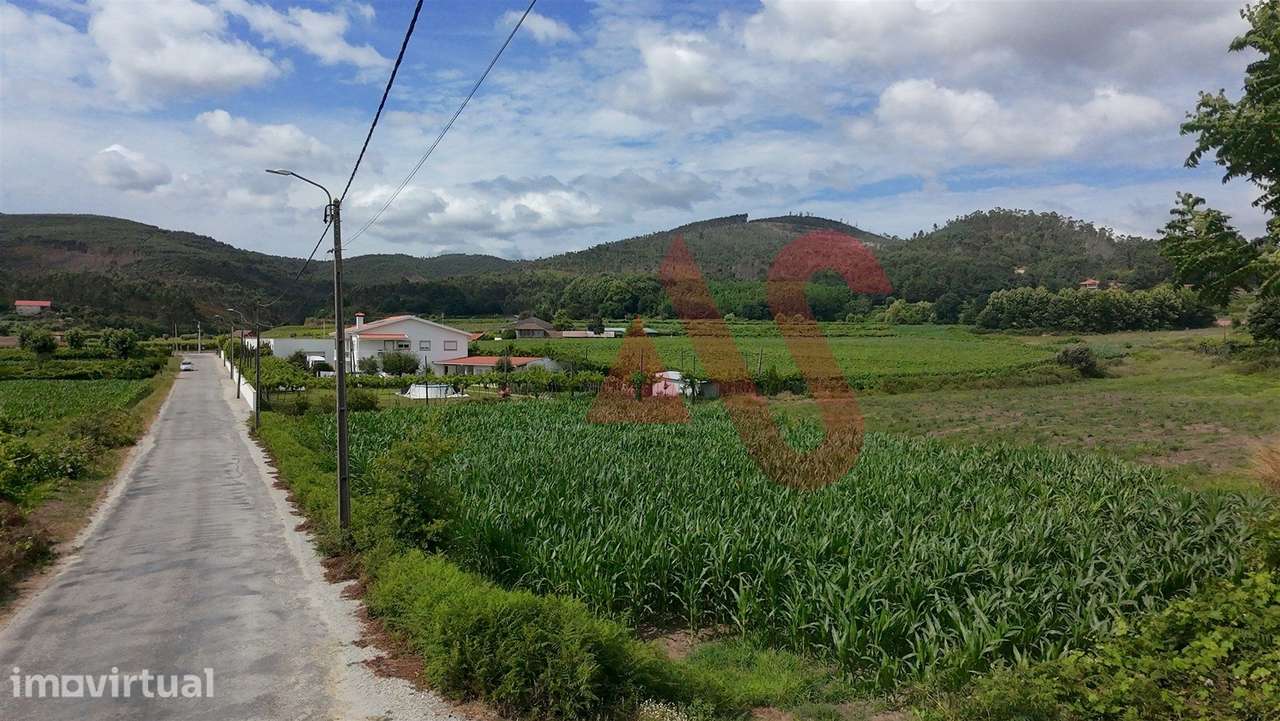 Terreno Agrícola com 2460m2 em Silvares, Lousada - Grande imagem: 3/4
