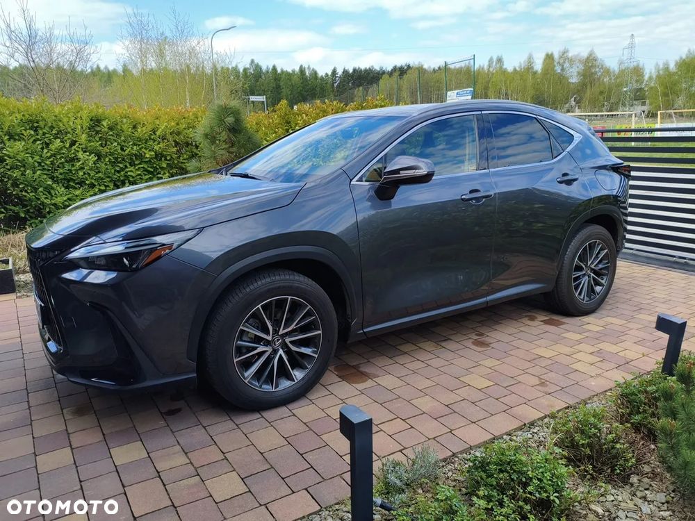 Lexus NX 350h Prestige 2WD - 2