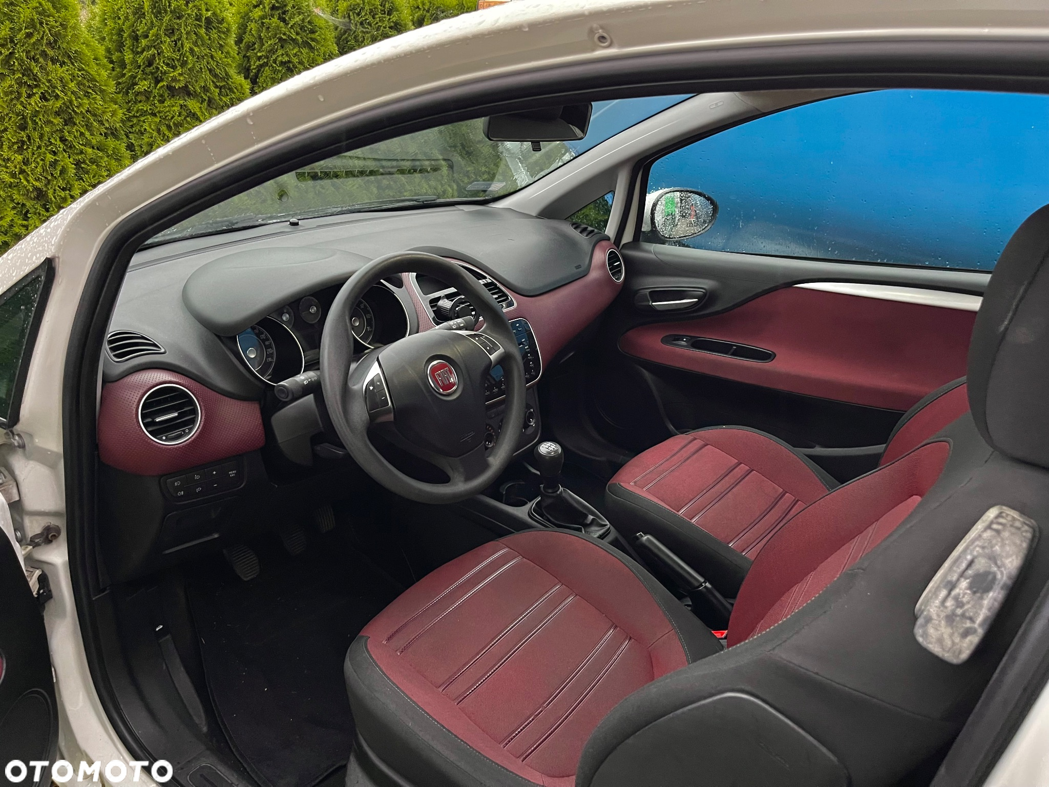 Fiat Punto Evo 1.3 Multijet 16V Active Euro5 - 8