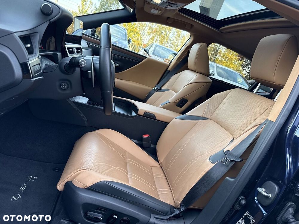Lexus ES 300h Omotenashi - 15
