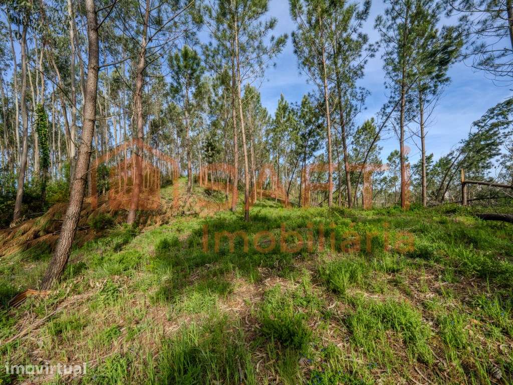 Terreno para construção - Grande imagem: 4/9