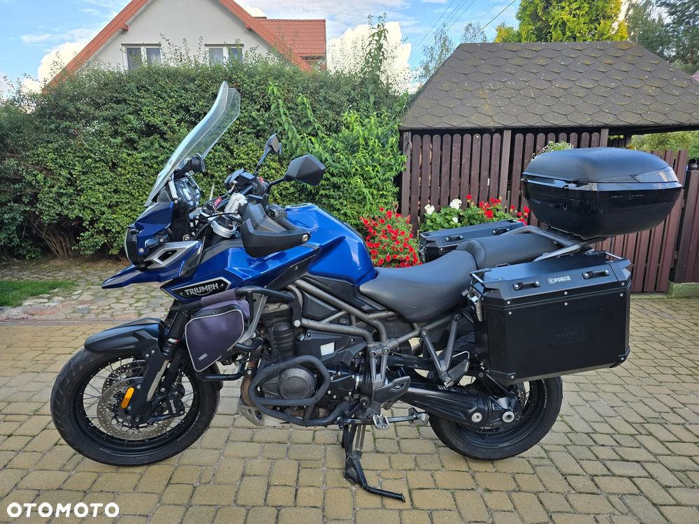 Triumph Tiger - 1