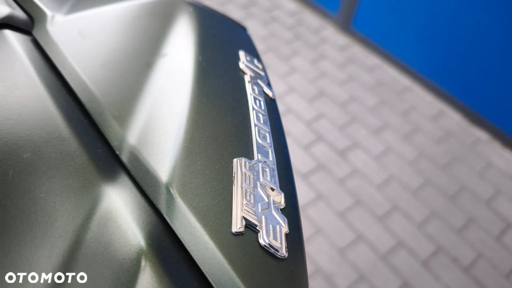 Triumph Tiger - 19