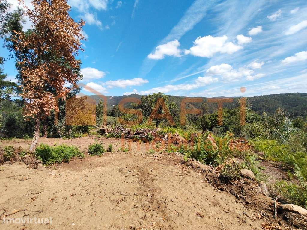 TERRENO COM POSSIBILIDADE DE CONSTRUÇÃO, COM UMA VISTA INFINITA. - Grande imagem: 3/45