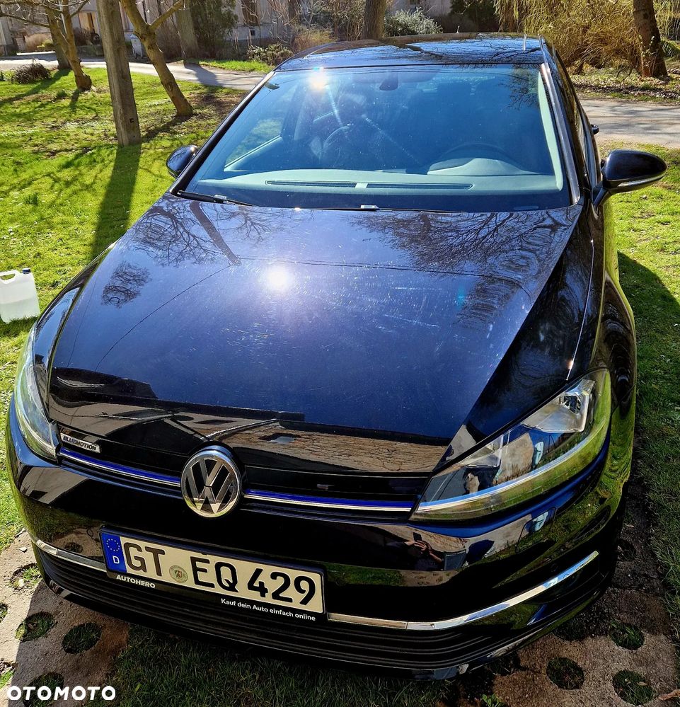 Volkswagen Golf - 2