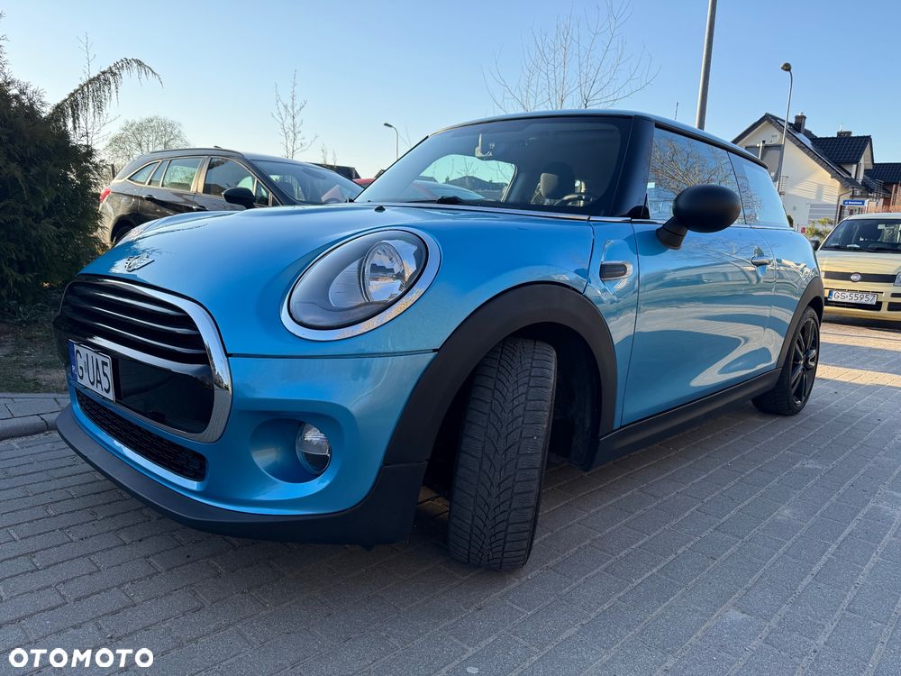 MINI ONE Blackyard - 16