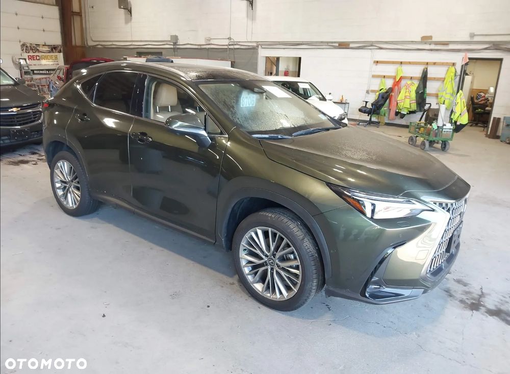 Lexus NX - 1