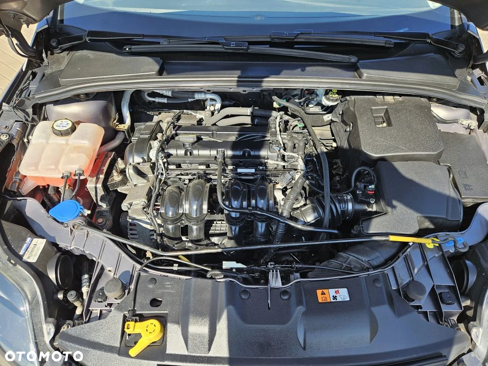 Ford Focus 1.6 TI-VCT Titanium - 11
