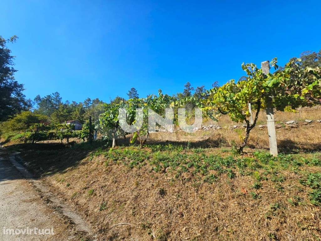 Terreno Rústico - Vistas Desafogadas - Grande imagem: 3/21