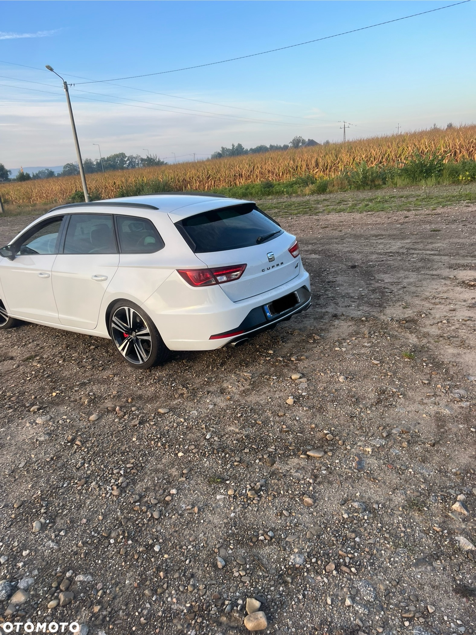 Seat Leon 2.0 TSI Cupra 290 S&S DSG - 7