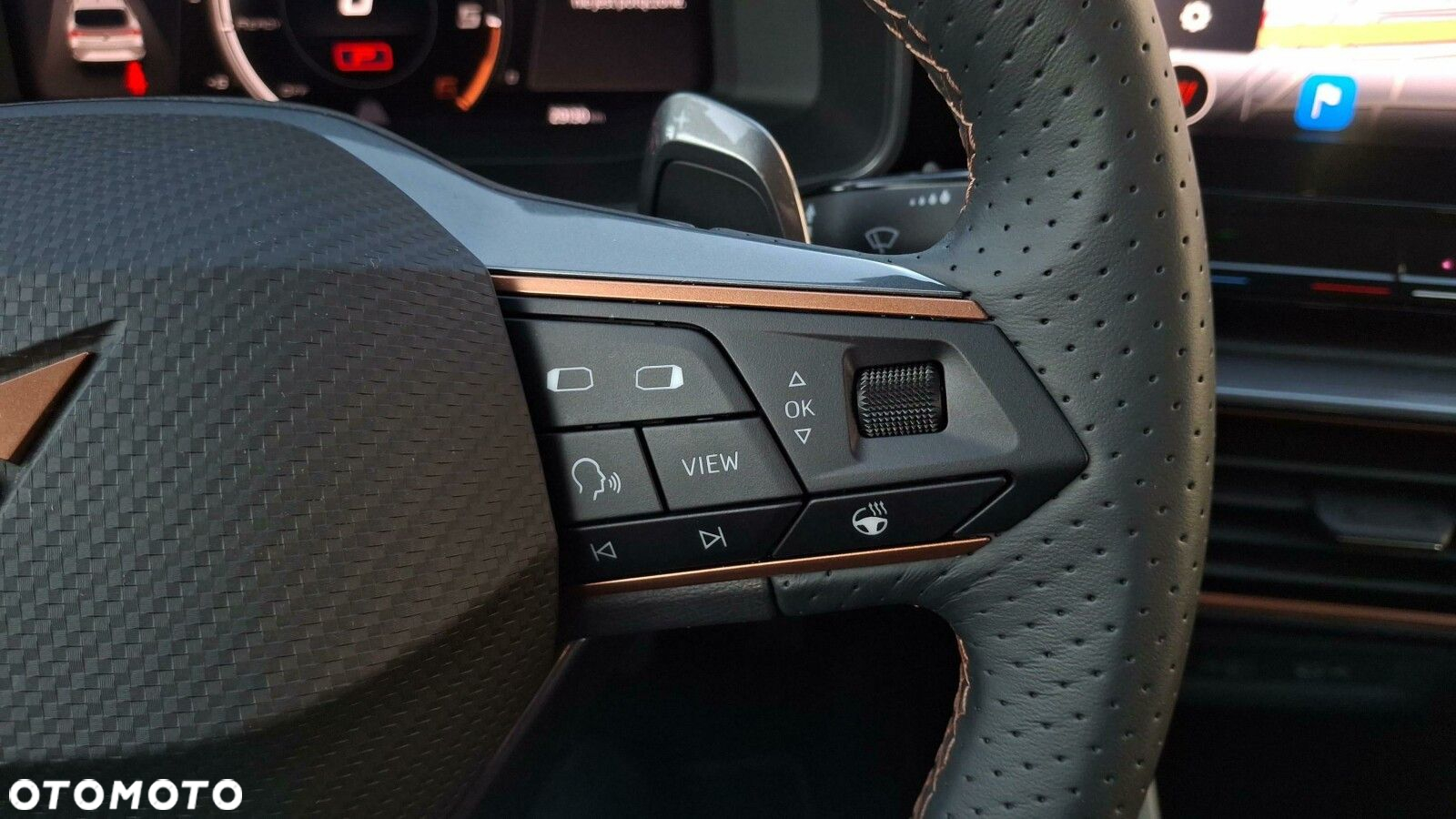 Cupra Leon 2.0 TDI DSG - 14