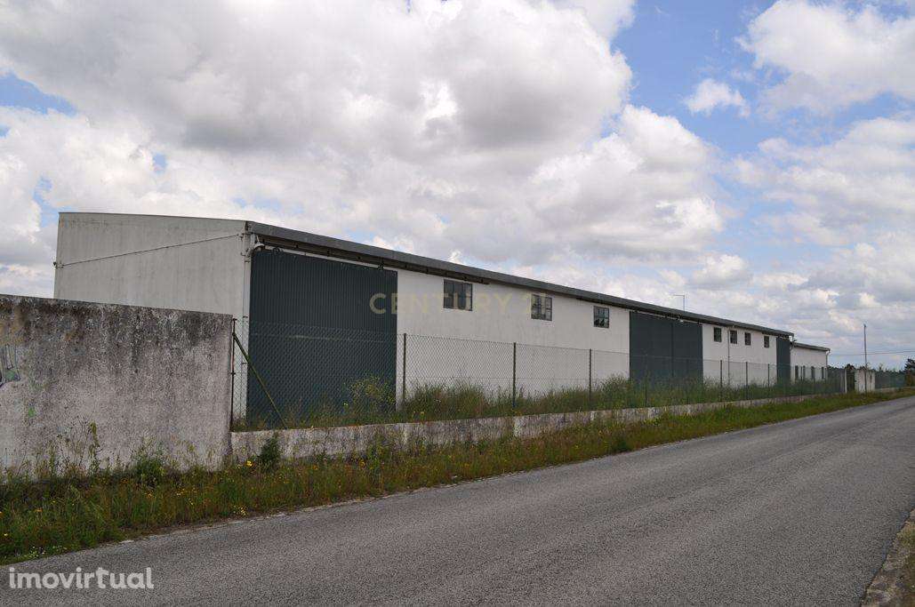 Armazém Agro-Industrial  – Vale da Pedra, Cartaxo - Grande imagem: 2/24