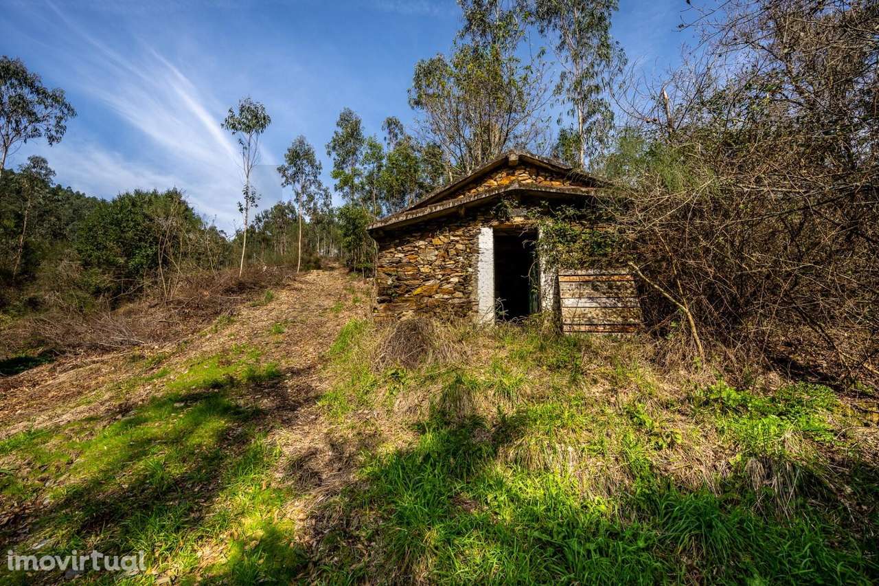 Terreno com 20.750m2 nas Serras do Porto – Aguiar de Sousa - Grande imagem: 4/13