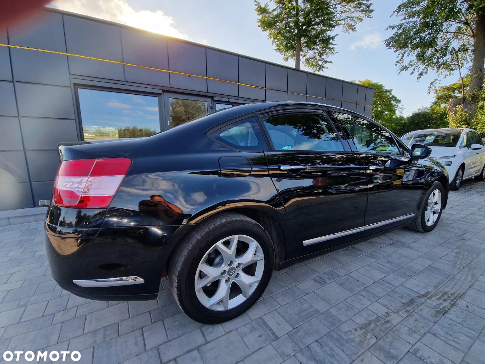 Citroën C5 2.0i 16V Dynamique - 8