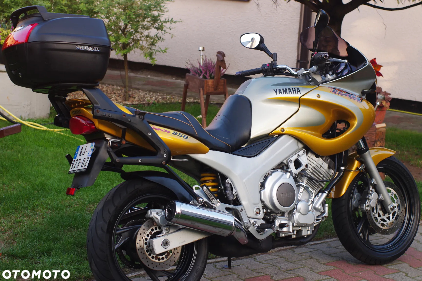 Yamaha TDM - 3