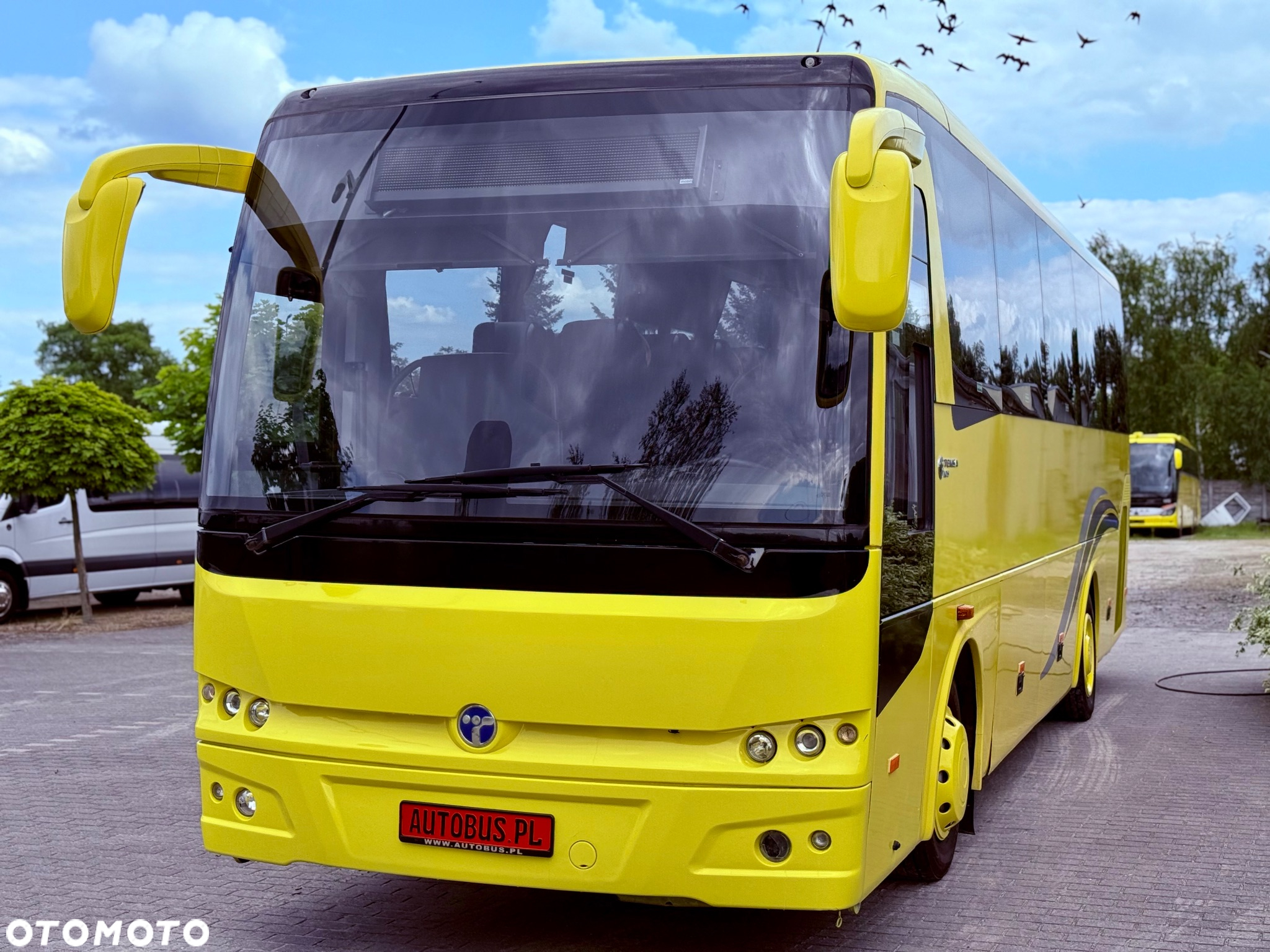 Temsa MD9 - 2
