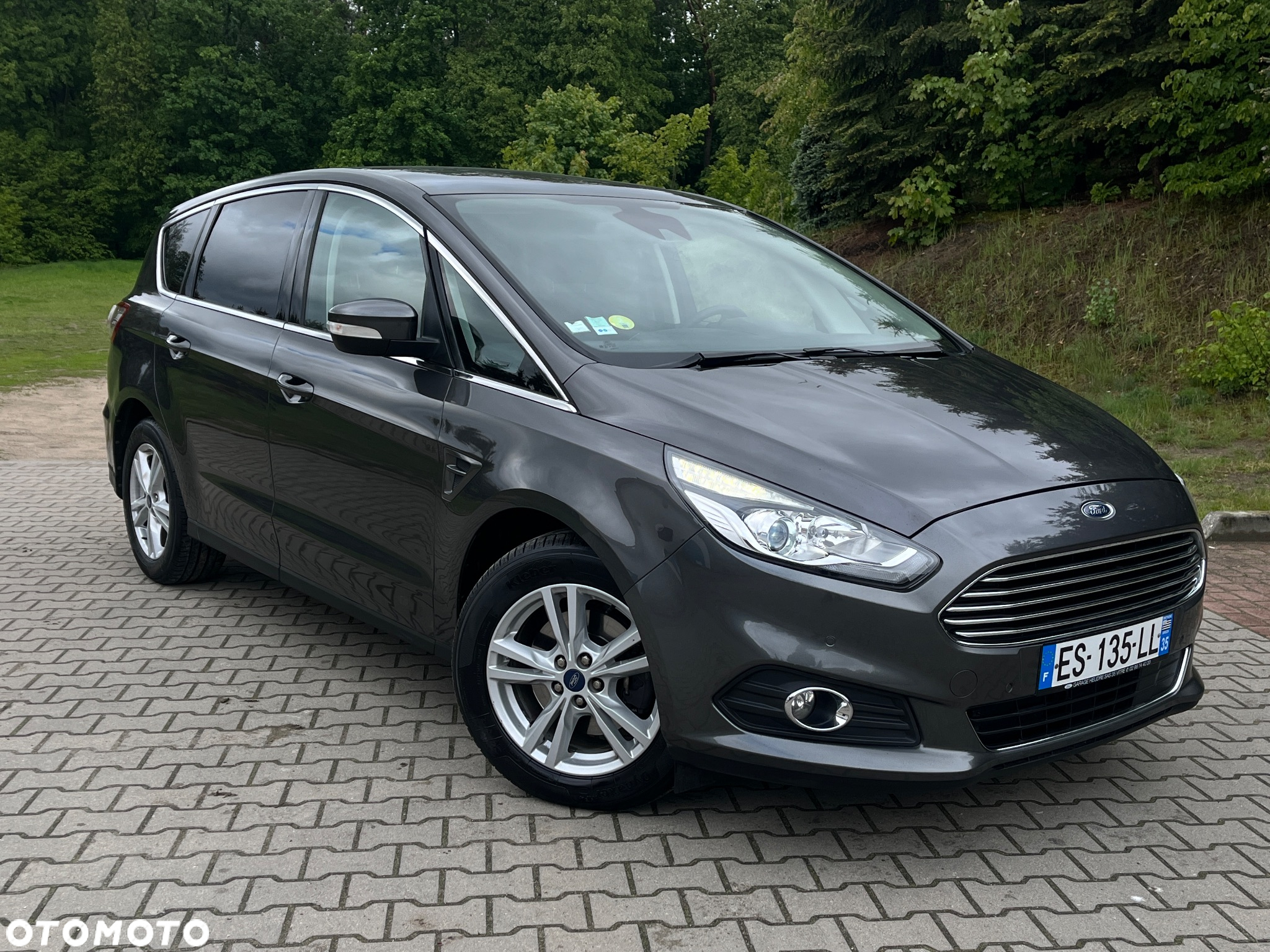Ford S-Max 2.0 EcoBlue Titanium - 2