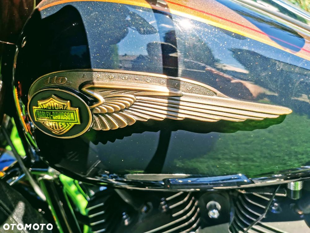 Harley-Davidson FLHS Electra Glide - 14