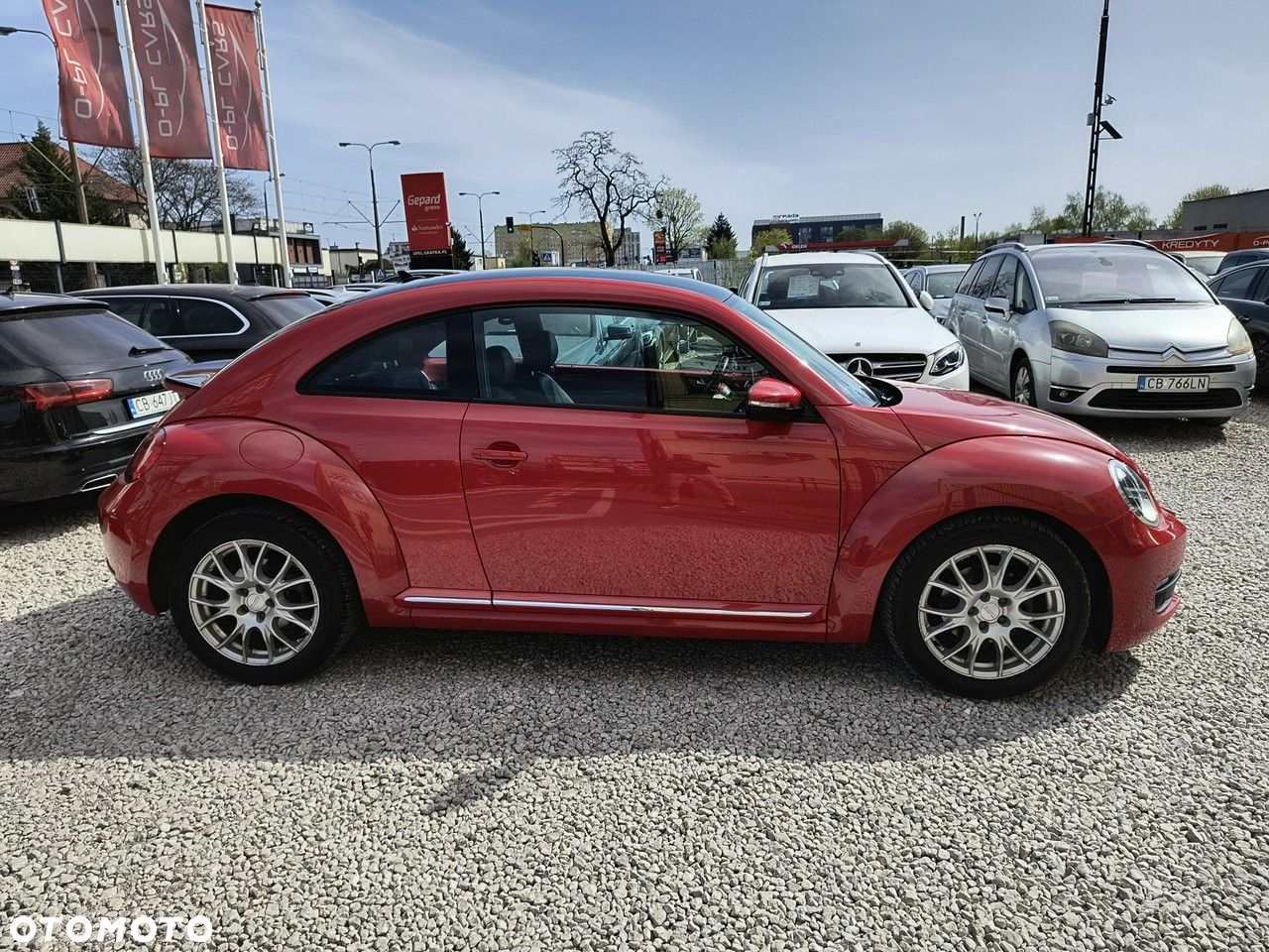 Volkswagen Beetle - 24