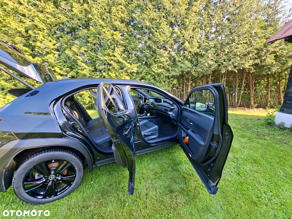 Lexus UX - 13
