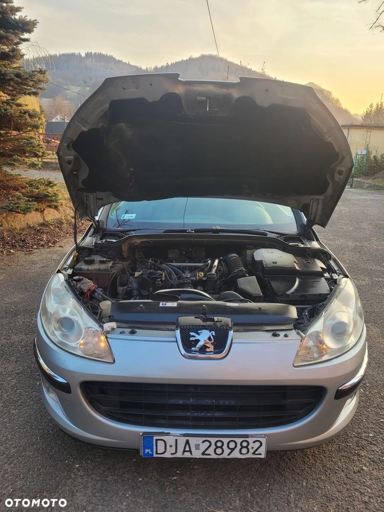 Peugeot 407 HDi 135 - 29