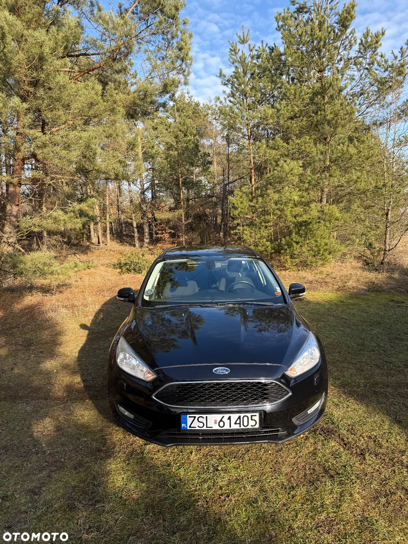 Ford Focus 1.5 EcoBlue Start-Stopp-System ACTIVE STYLE - 13