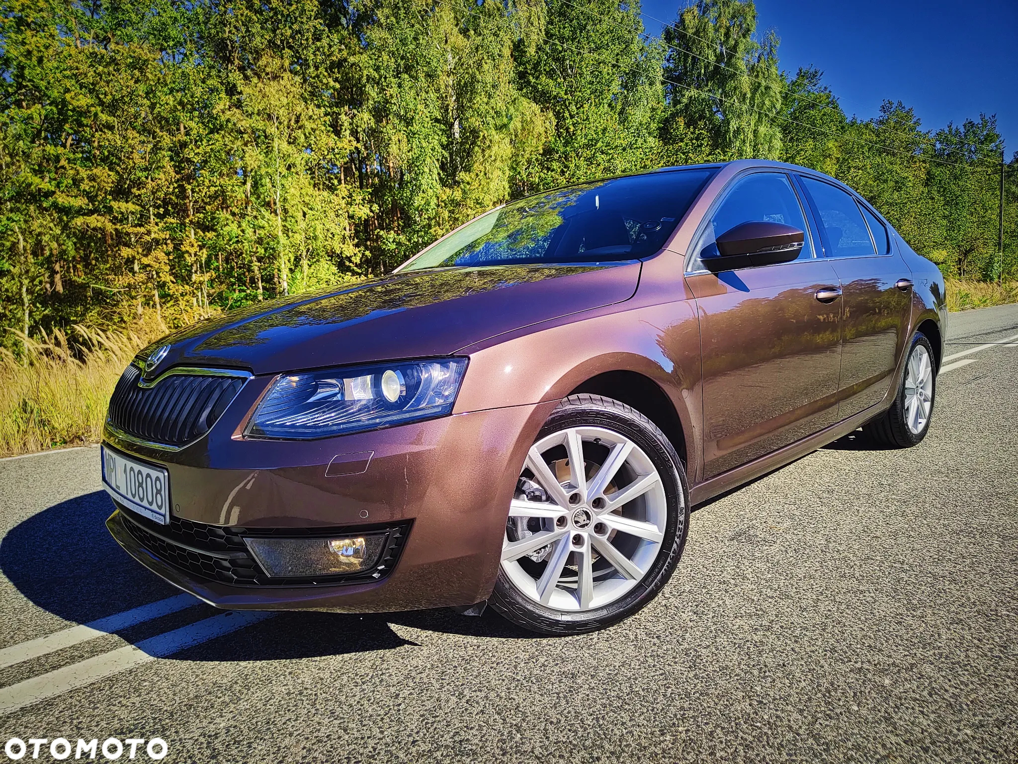 Skoda Octavia 1.4 TSI Elegance - 7
