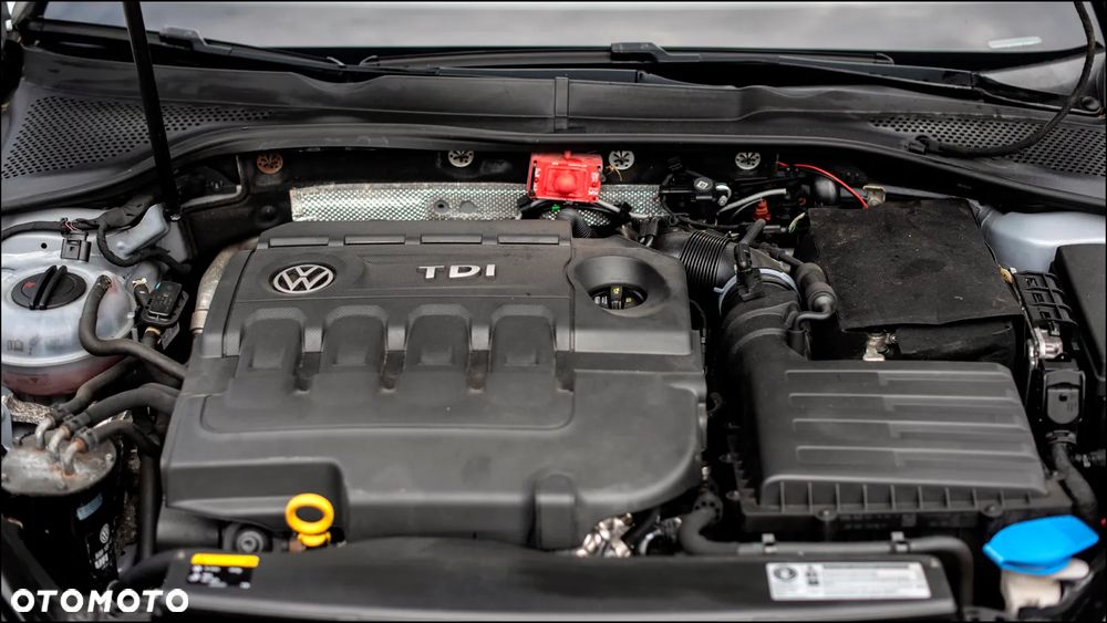 Volkswagen Golf - 36