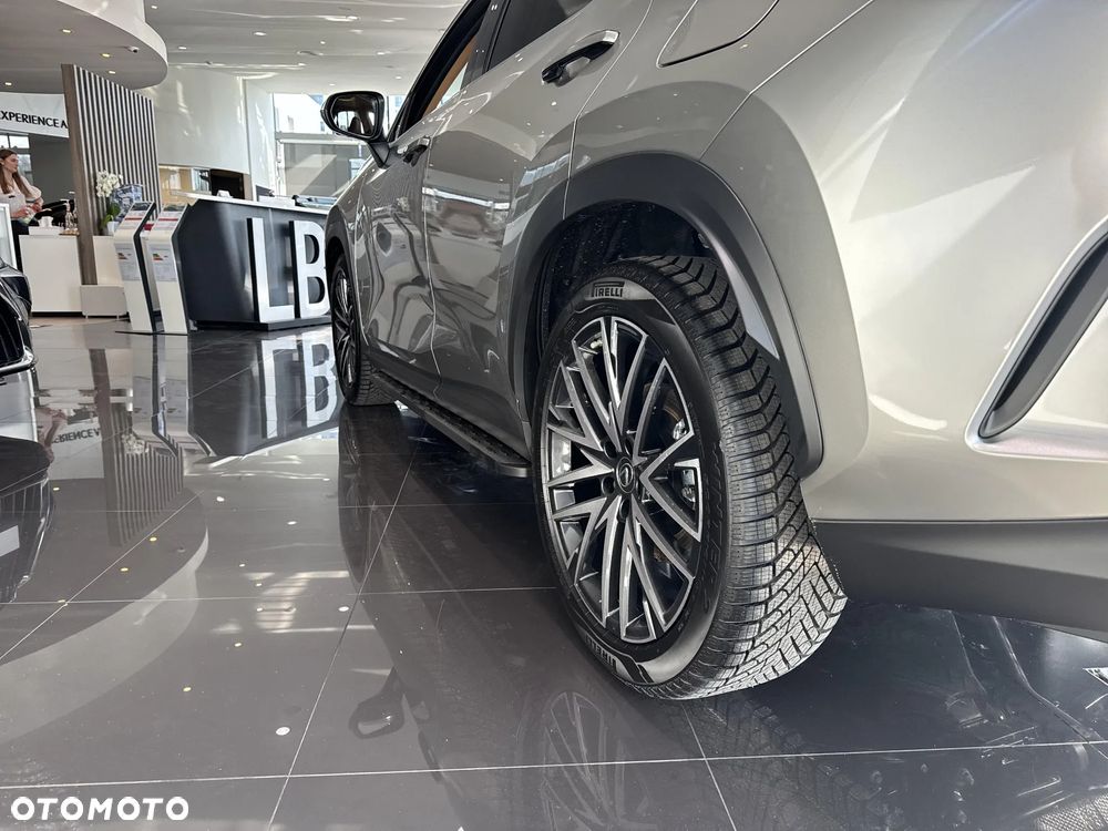 Lexus NX - 25