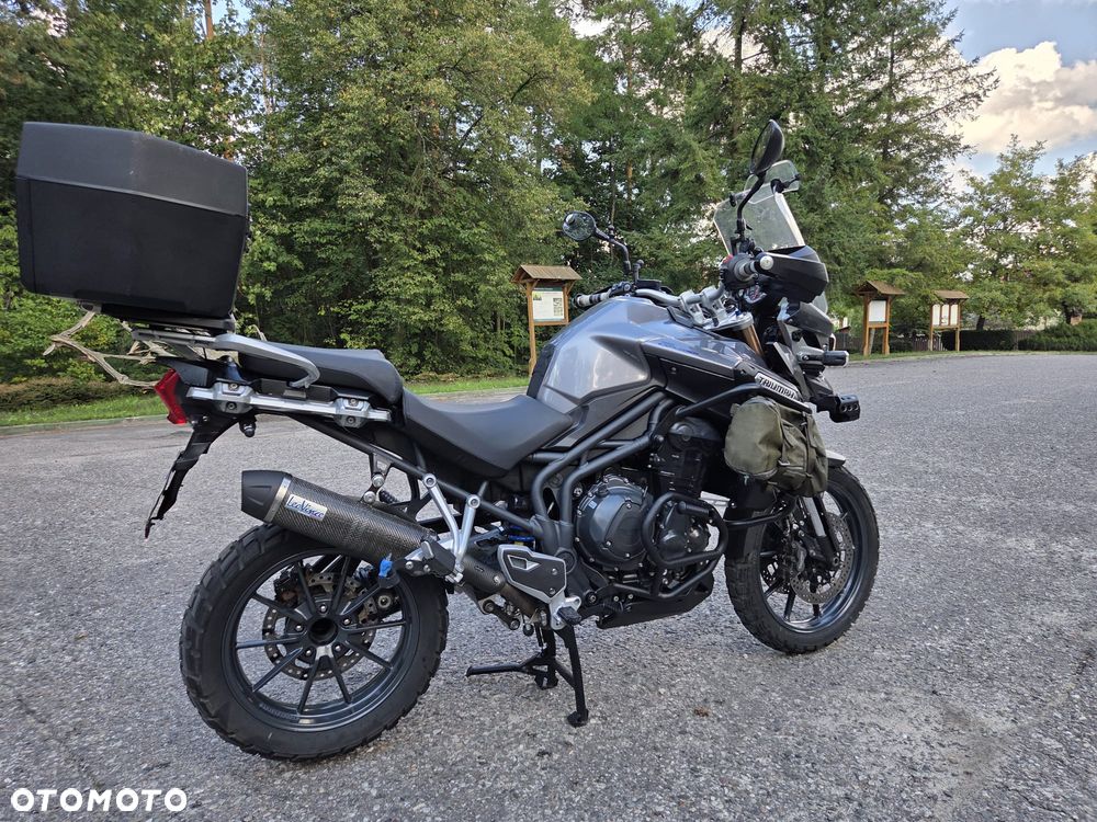 Triumph Tiger - 14