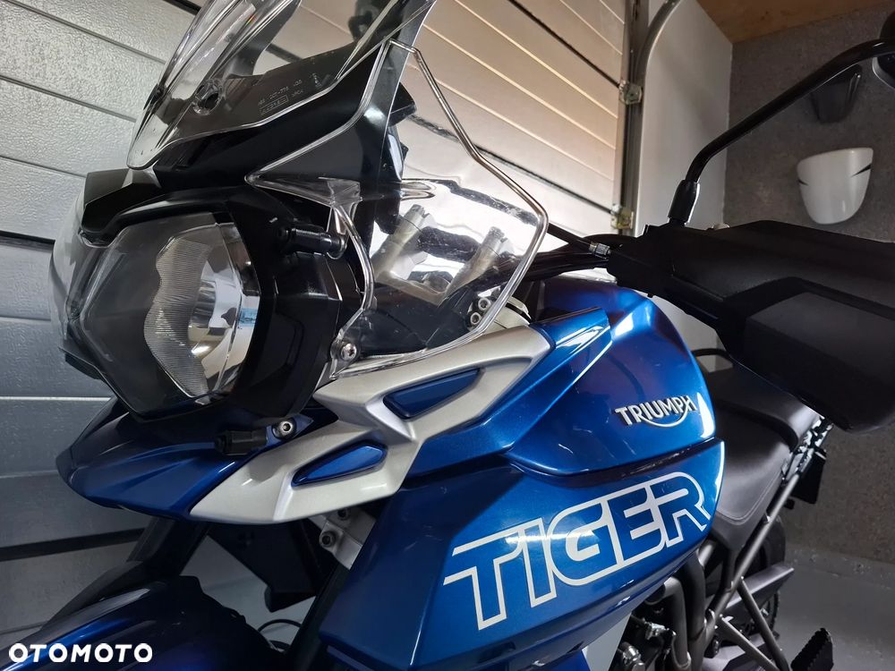 Triumph Tiger - 23