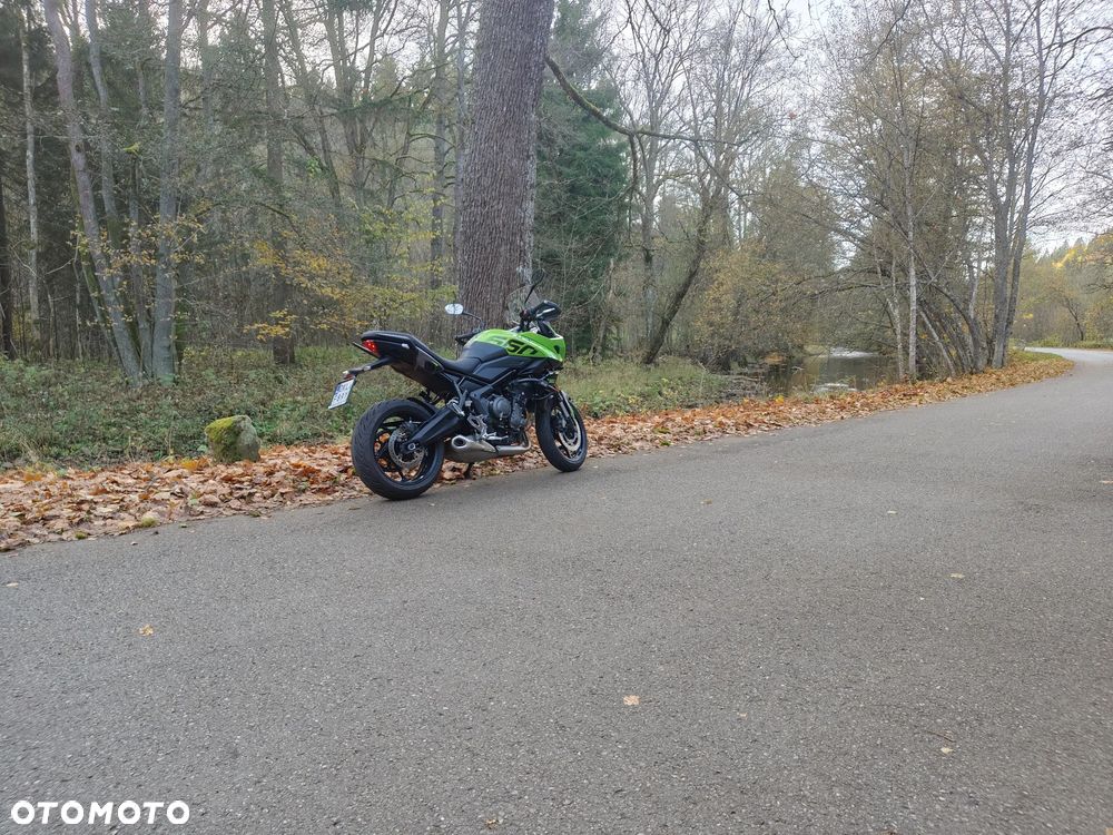 Triumph Tiger - 5